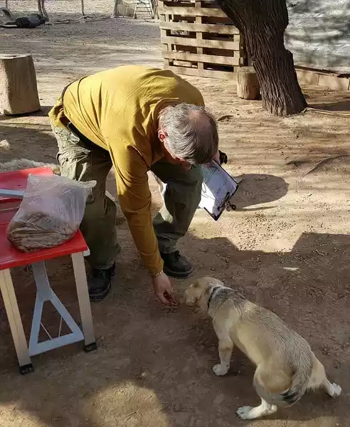 Hombre dando de comer a un perro