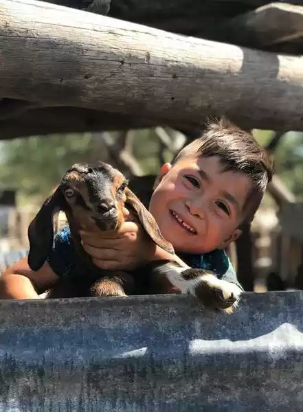 Niño sonriente con una cabra