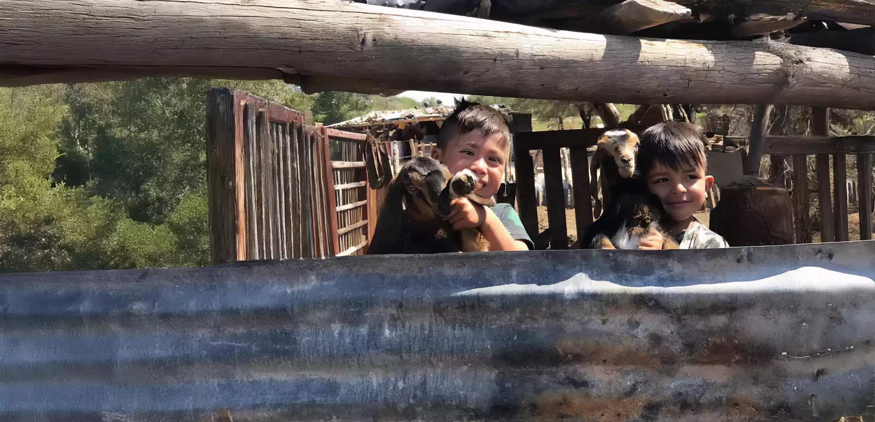 Niños sosteniendo cabras en un rancho
